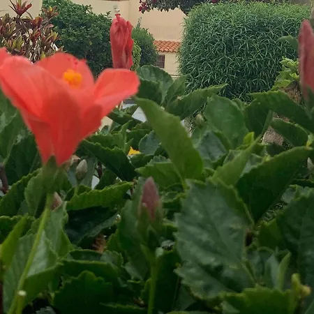 Lejlighed Amazing One Bad El Duque *